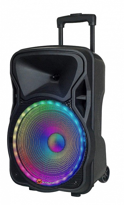 N-Gear FLASH1205 12 Portable Speaker LED/USB/Mic 300W